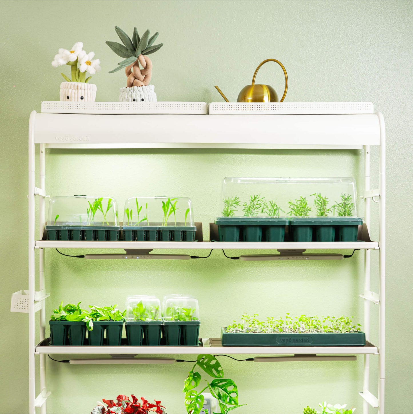 Giga Seedling Trays