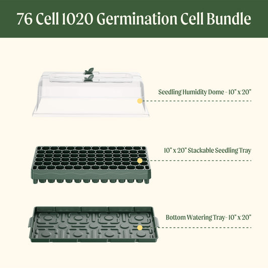 76 Cell 1020 Germination Cell Bundle