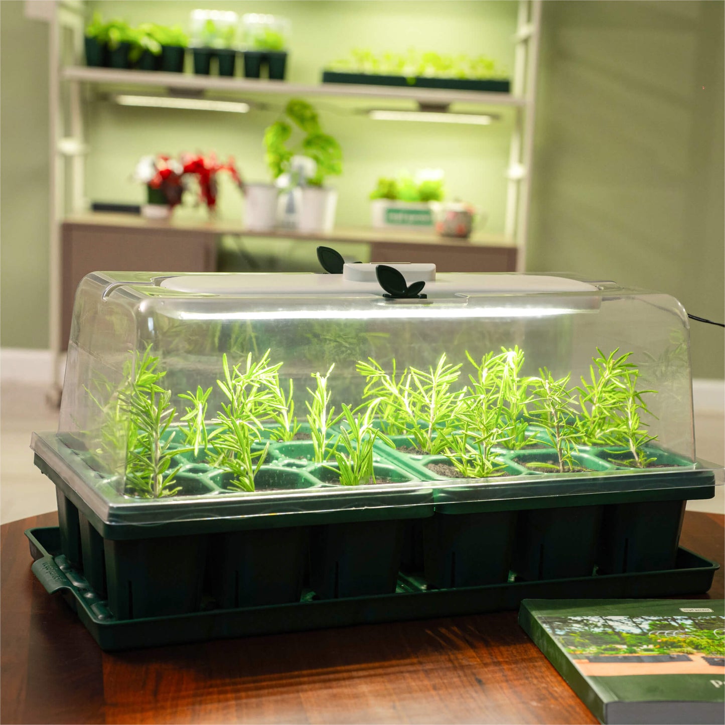 Giga Seedling Trays